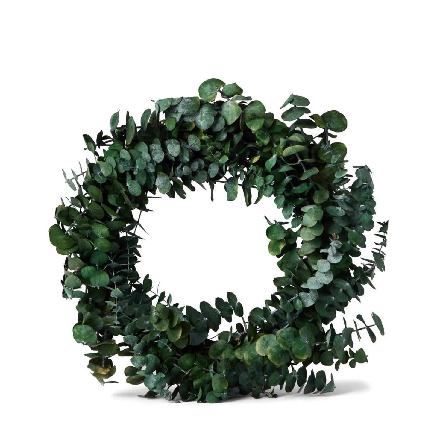 Krans Eucalyptus Preserverad 35cm Grön