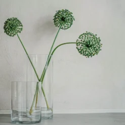 Vas Glas Cylinder 20x15cm