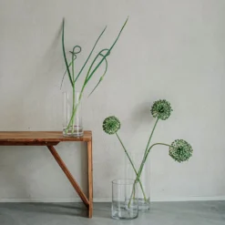 Vas Glas Cylinder 25x12cm